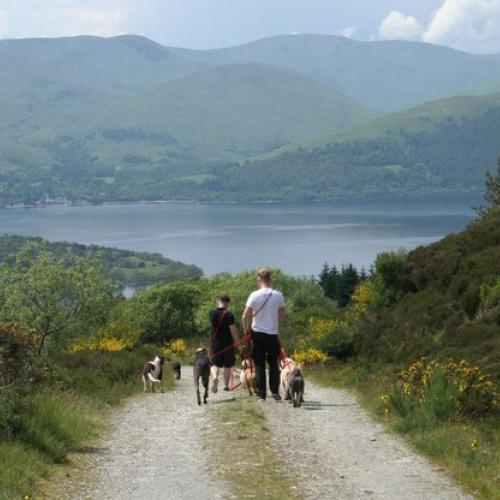 excursiones-caninas