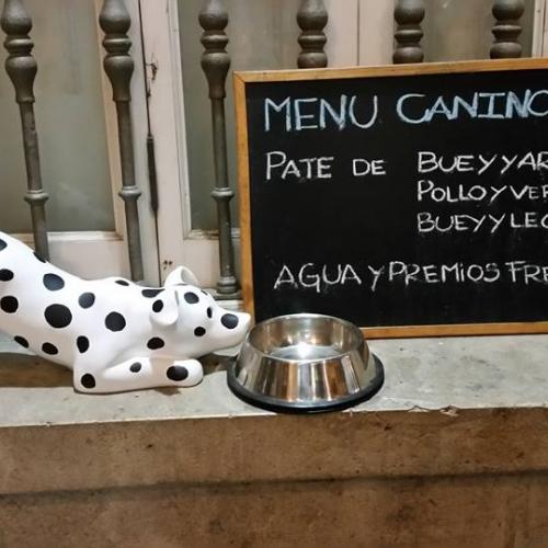 lugares-pet-friendly