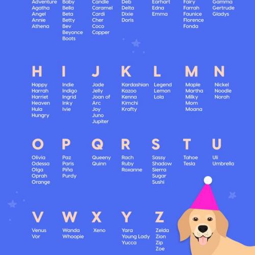Nombres curiosos para tu mascota