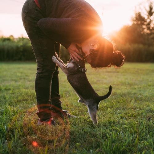 Niños y animales