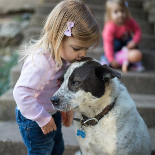 ventajas-de-criar-a-tu-hijo-con-un-perro